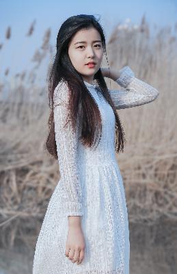 成全免费高清在线观看电视剧